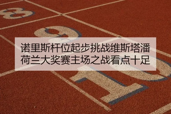 nuo-li-si-gan-wei-qi-bu-tiao-zhan-wei-si-ta-pan-he-lan-da-jiang-sai-zhu-chang-zhi-zhan-kan-dian-shi-zu-2-203.jpg