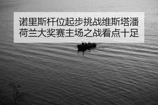 诺里斯杆位起步挑战维斯塔潘 荷兰大奖赛主场之战看点十足